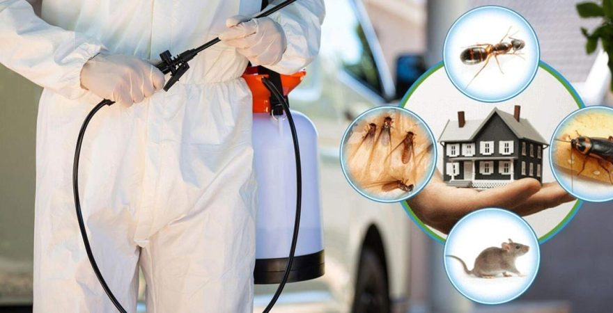 Kabataş Böcek İlaçlama