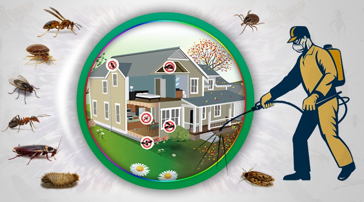 Kabataş Böcek İlaçlama